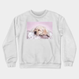 Sleeping labrador Crewneck Sweatshirt